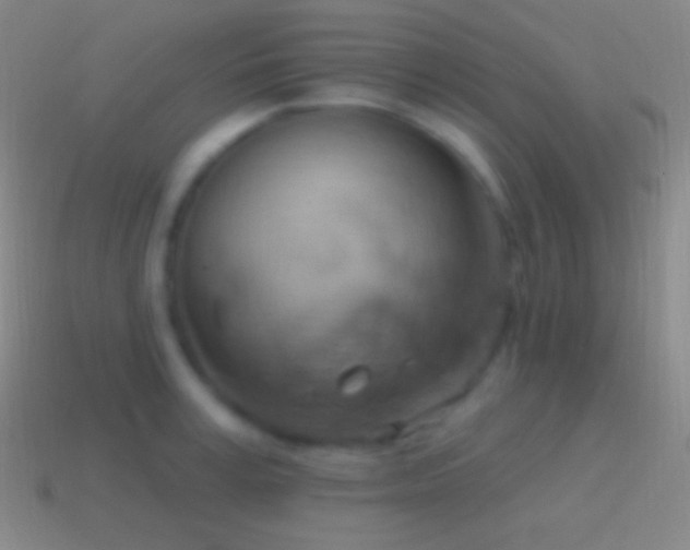 X0000115590995200911101235