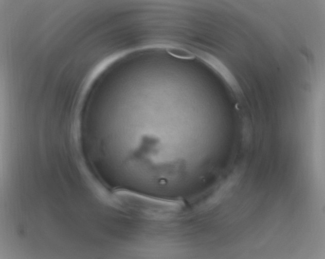 X0000115590996200911101235