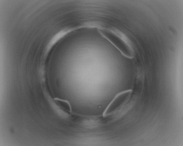 X0000115590997200911101234