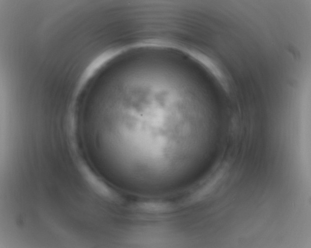 X0000115590998200911101234