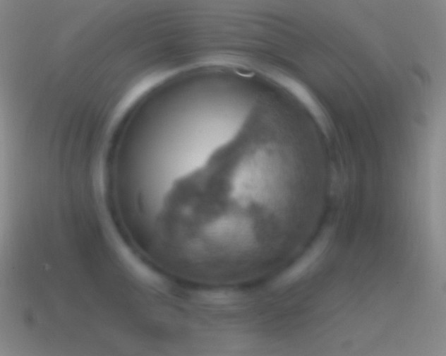 X0000115590999200911101234