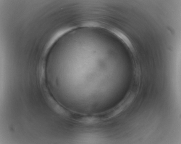 X0000115591000200911101234