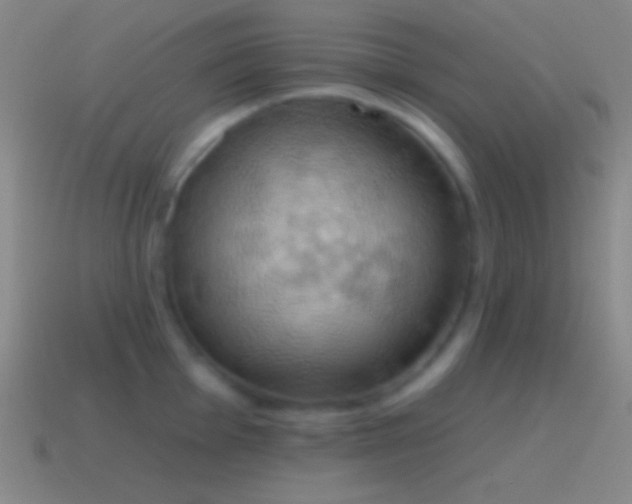 X0000115591001200911101234