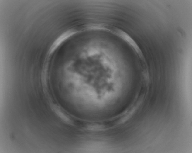 X0000115591002200911101234