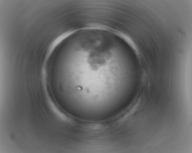 X0000115591003200911101234