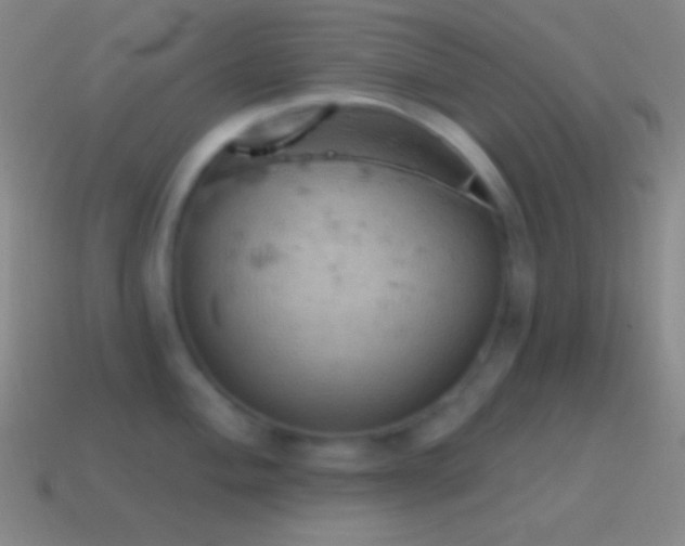 X0000115591004200911101234