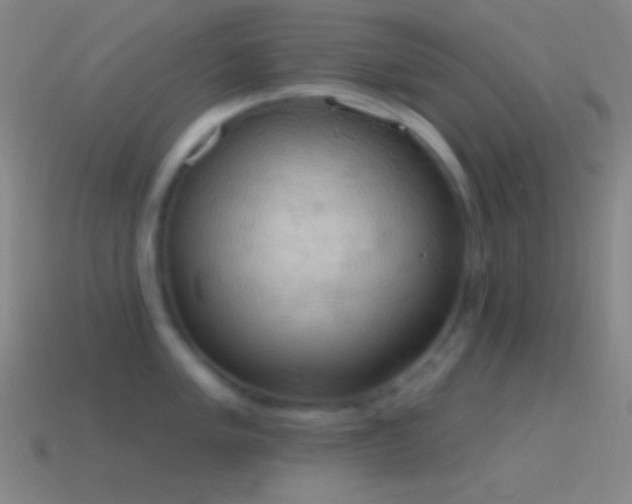 X0000115591005200911101234