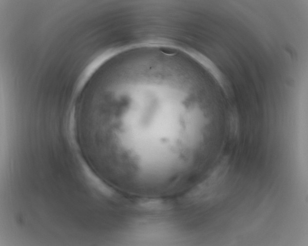 X0000115591006200911101234