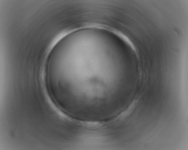 X0000115591007200911101234