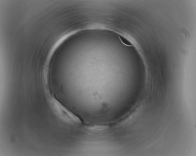 X0000115591008200911101234