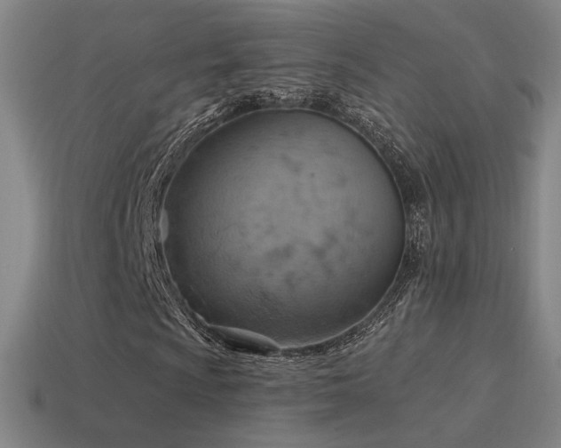 X0000115591009200911101234