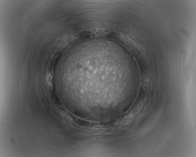 X0000115591010200911101234