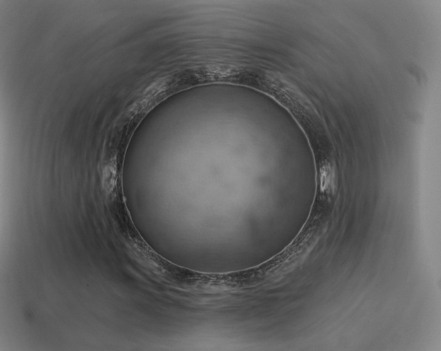 X0000115591011200911101234