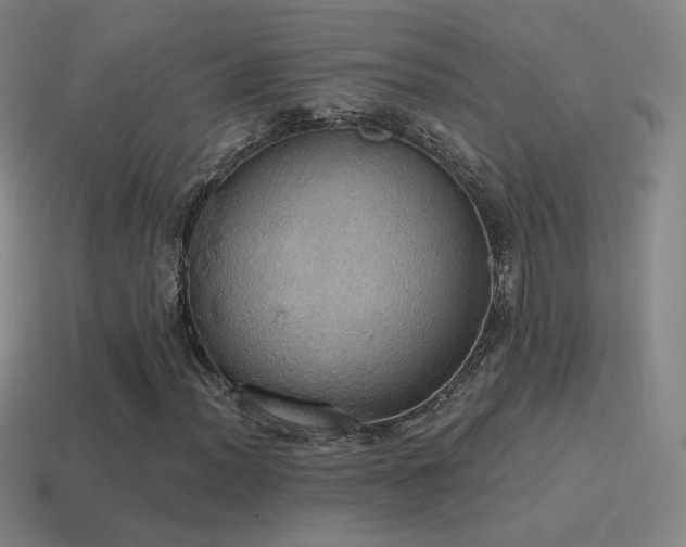 X0000115591012200911101234