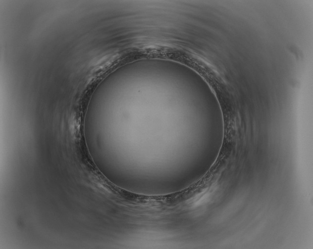 X0000115591013200911101234