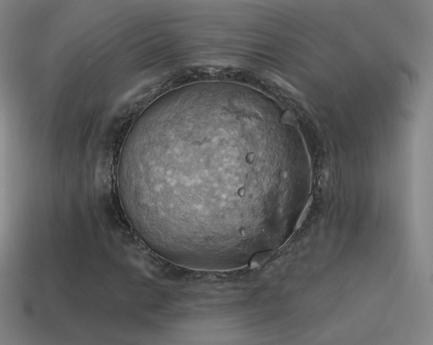 X0000115591014200911101234