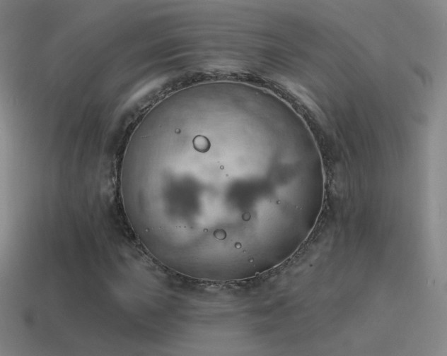 X0000115591015200911101234