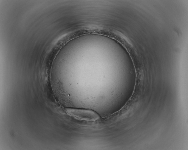 X0000115591016200911101234