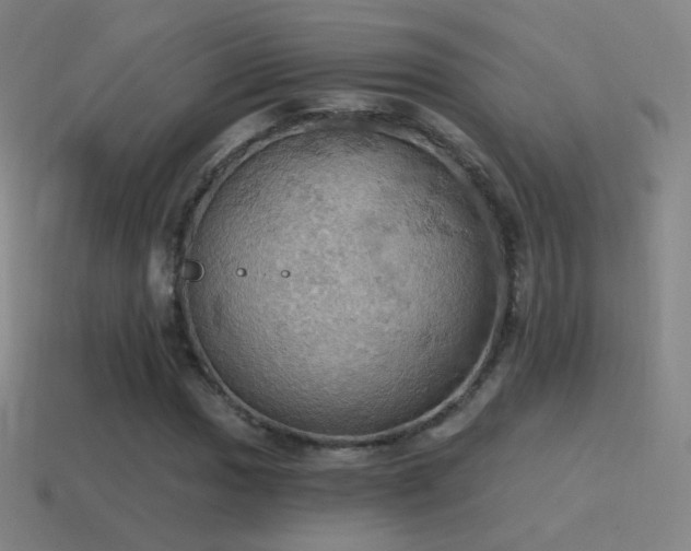 X0000115591017200911101234