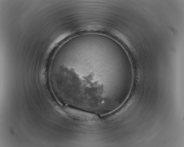 X0000115591018200911101234