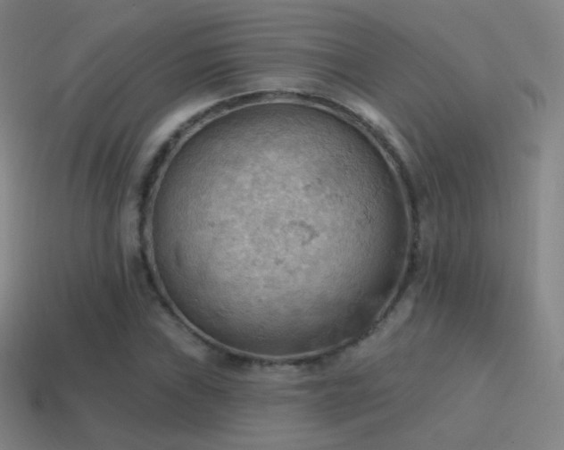 X0000115591019200911101234