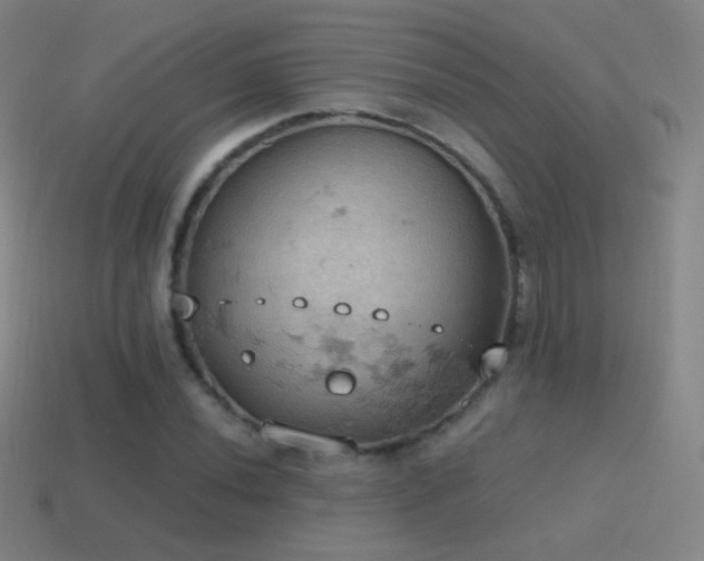 X0000115591020200911101234