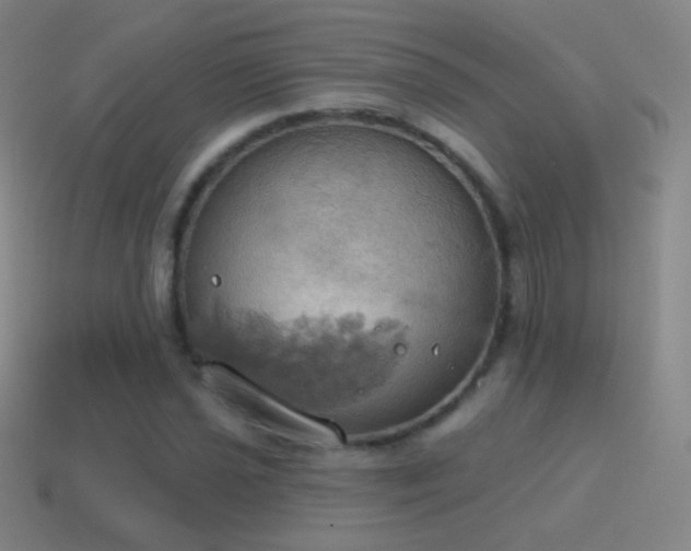 X0000115591021200911101234