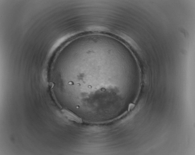 X0000115591022200911101234