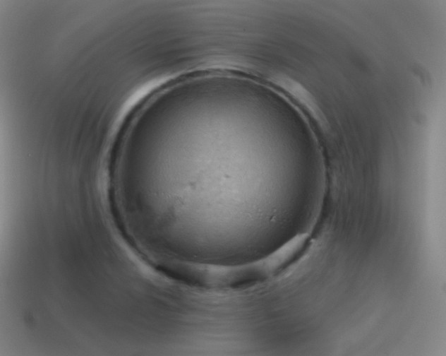 X0000115591024200911101234