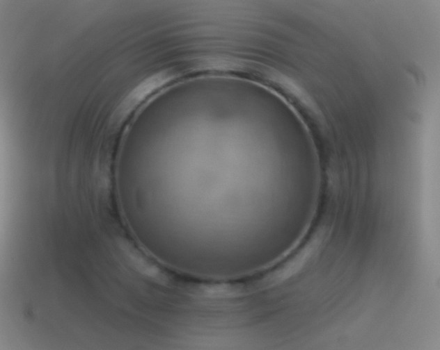 X0000115591025200911101234