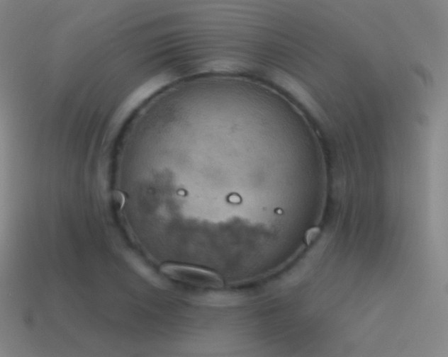 X0000115591026200911101234