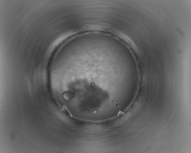 X0000115591027200911101234