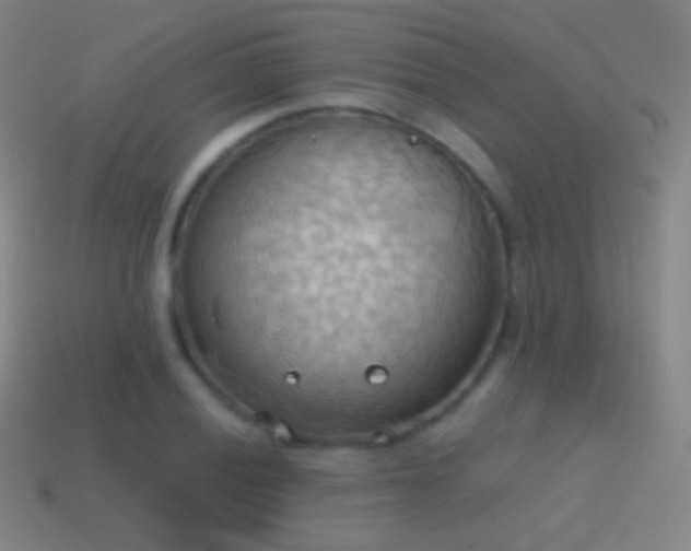 X0000115591028200911101234