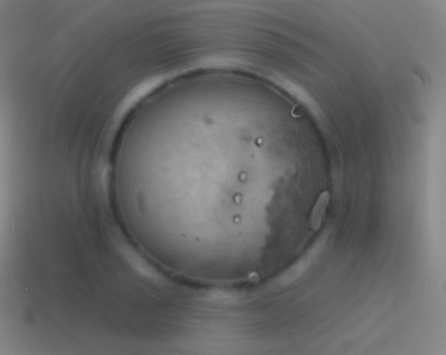 X0000115591029200911101234