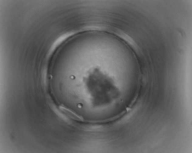 X0000115591030200911101234