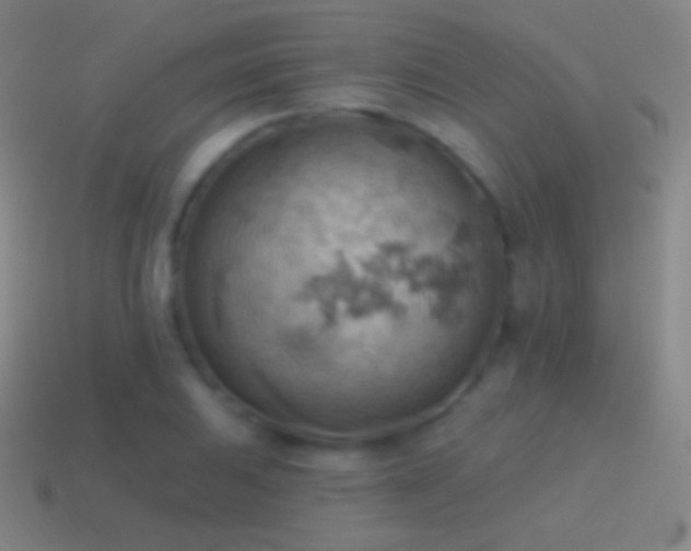 X0000115591031200911101234