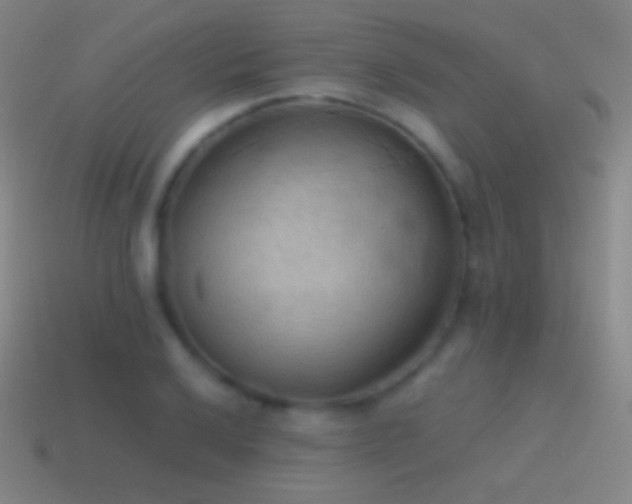 X0000115591032200911101234