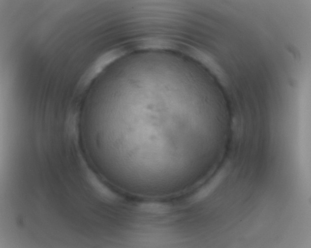 X0000115591033200911101234