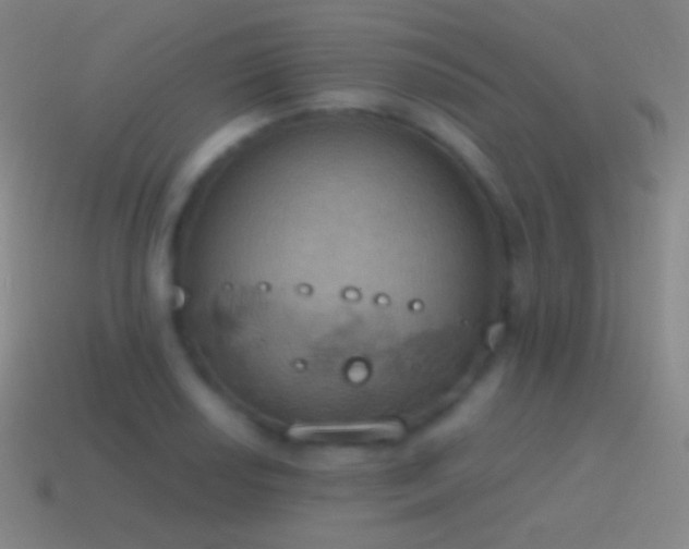 X0000115591034200911101234