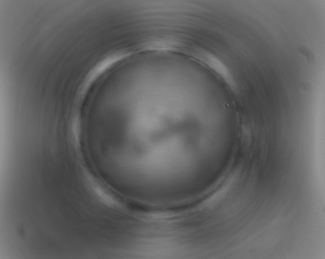 X0000115591035200911101234