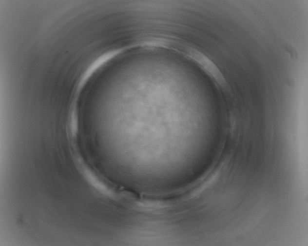 X0000115591036200911101234