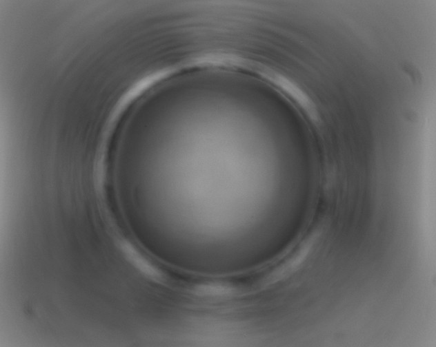 X0000115591037200911101234