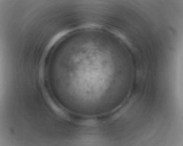 X0000115591038200911101234