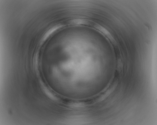 X0000115591039200911101234