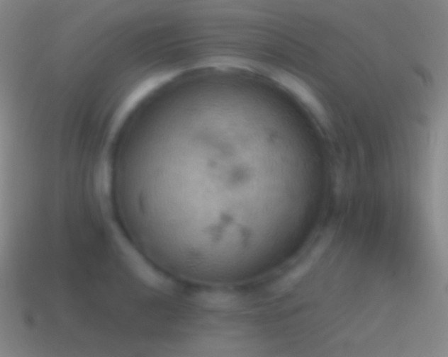 X0000115591040200911101234