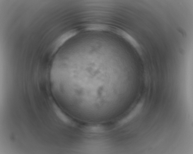 X0000115591041200911101234