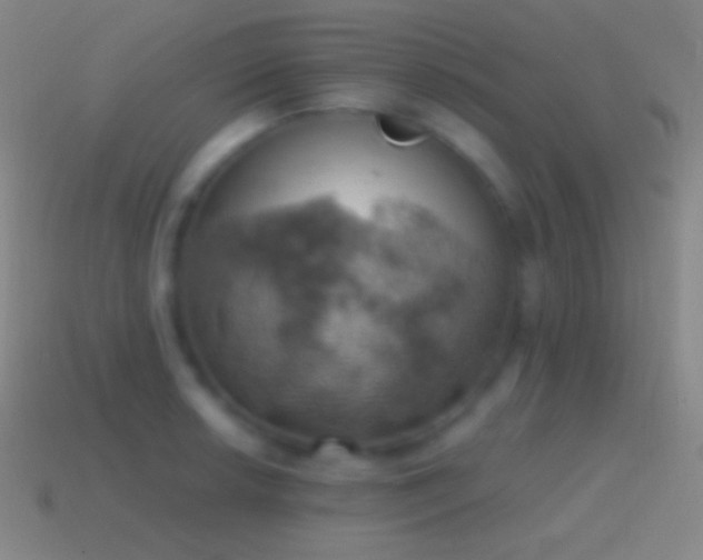 X0000115591042200911101234