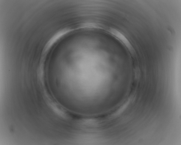 X0000115591043200911101234