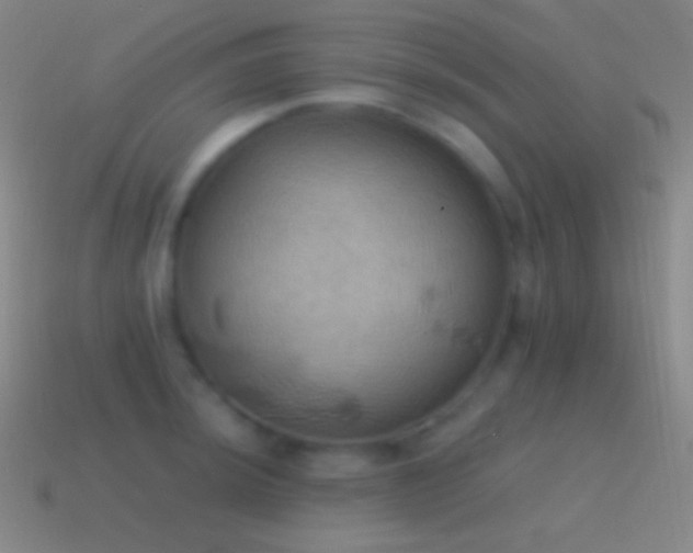 X0000115591044200911101234