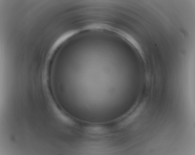 X0000115591045200911101234